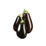 Eggplant Big Size F1 Hybrid Pack of 1kg